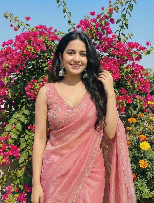 TARVENII Embroidered Bollywood Organza Saree