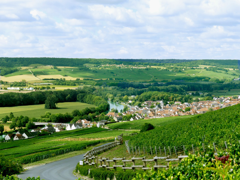 Hautvillers vue sur Cumières et la Marne