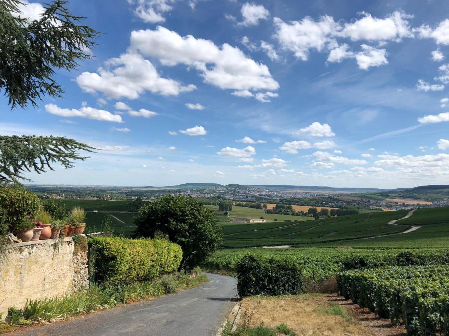 Hautvillers view to the valley