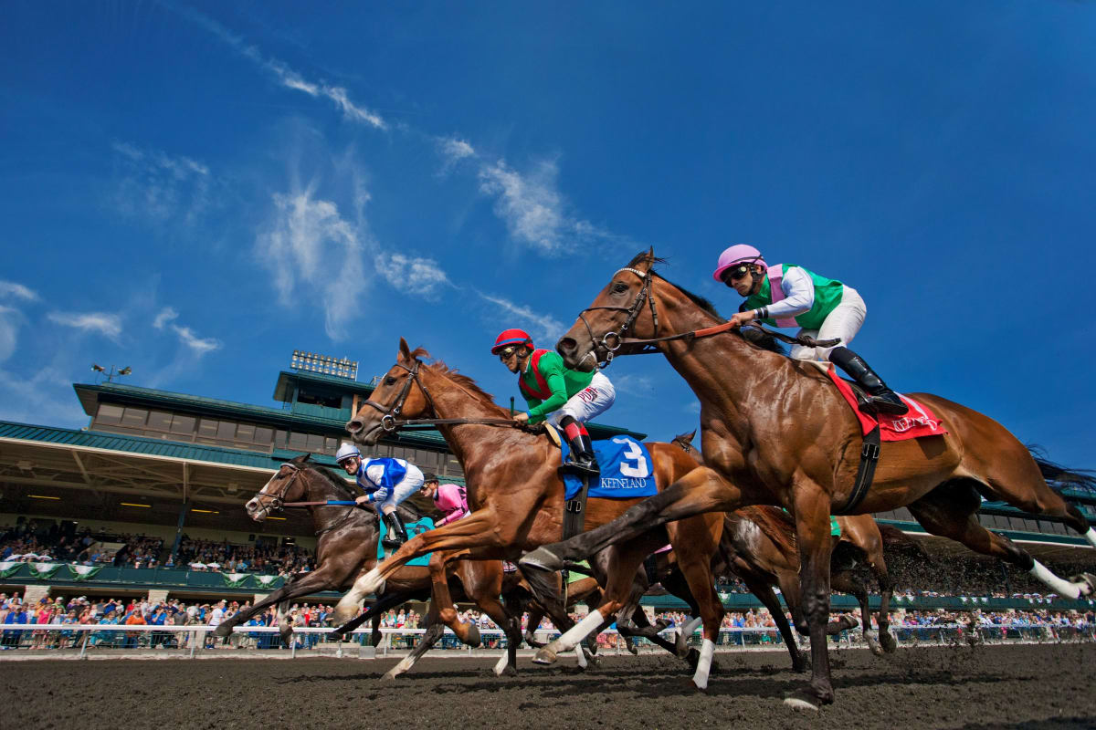 Pferdesport, Kentucky