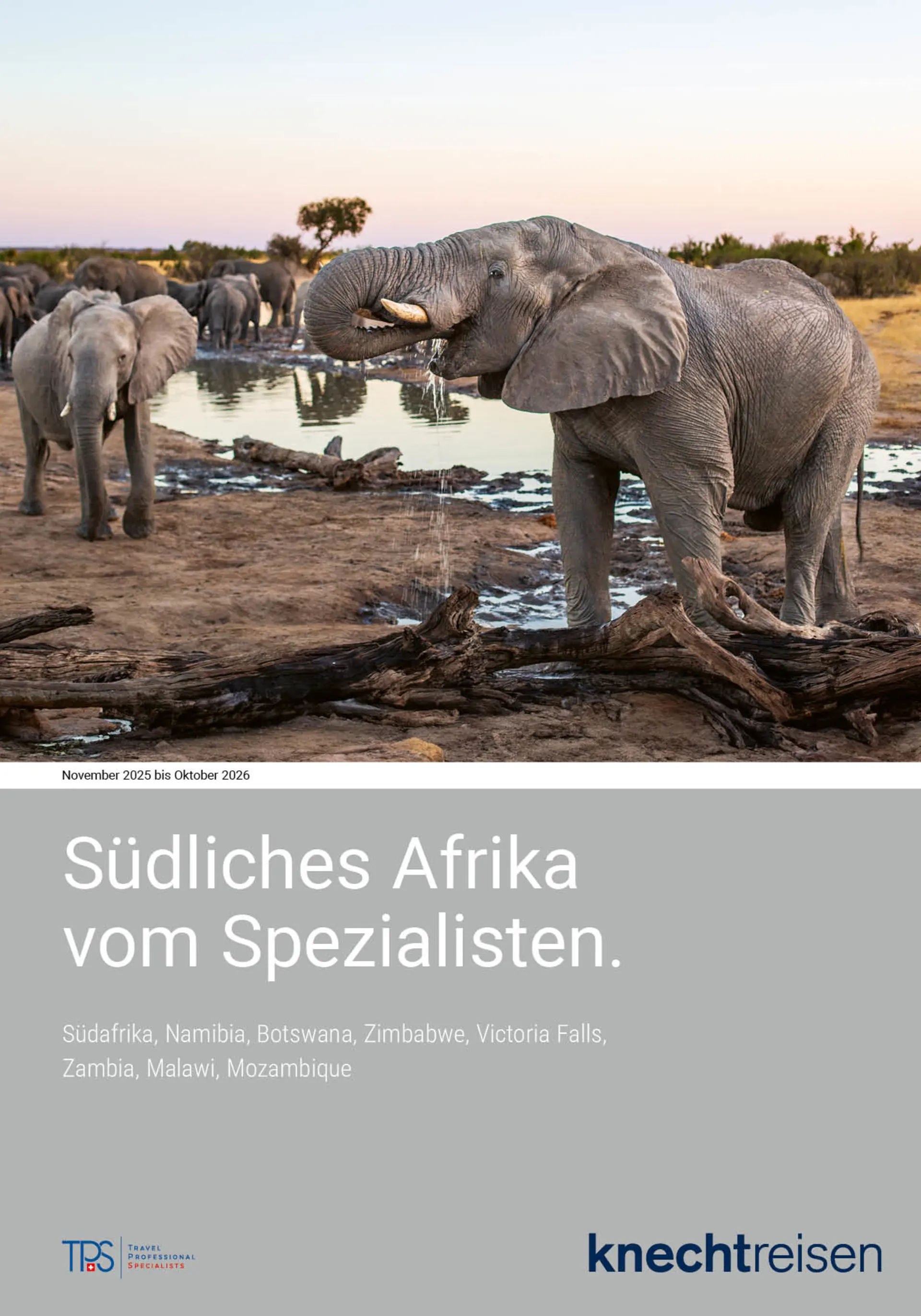 catalog cover