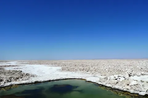 Zubucherreise Von Salta durch die Atacama Wüste