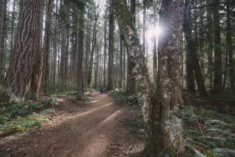 British Columbia - Zwischen Berggipfeln und Pazifikbuchten
