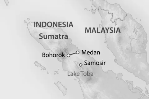 Orang-Utans in Bohorok