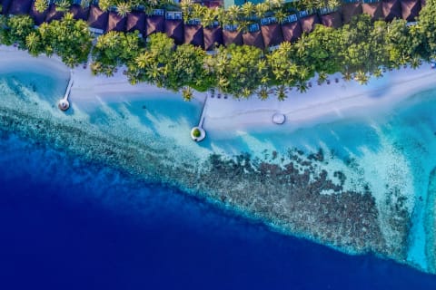 Lily Beach