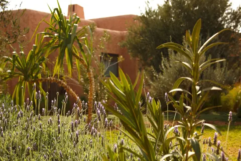 Oasis Lodges