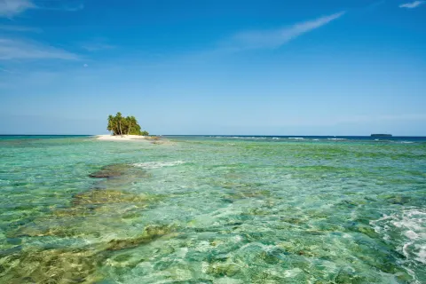 Wonders of New Guinea