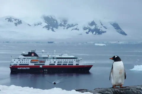 Die Natur erwacht zu neuem Leben – Expedition in die Antarktis im Frühjahr