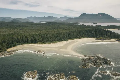 The Infinite Coast