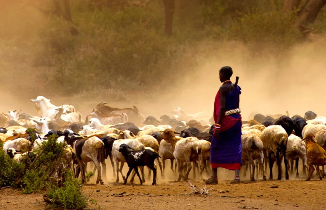 Masai, Tansania/Sansibar