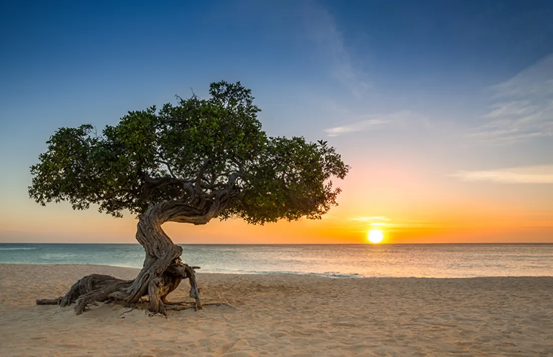 Eagle Beach, Aruba, Karibik