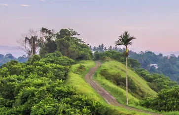 Ubud, Bali