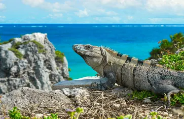 Guadeloupe, Karibik