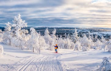 Langlauf, Lappland