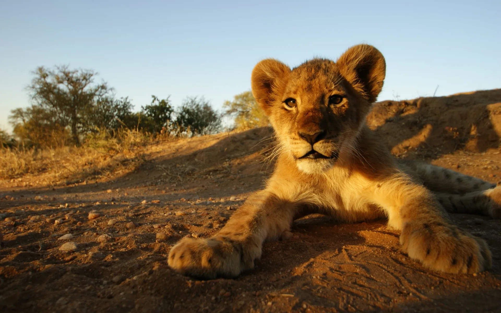 Etosha Oberland Lodge in Etosha Nationalpark: 