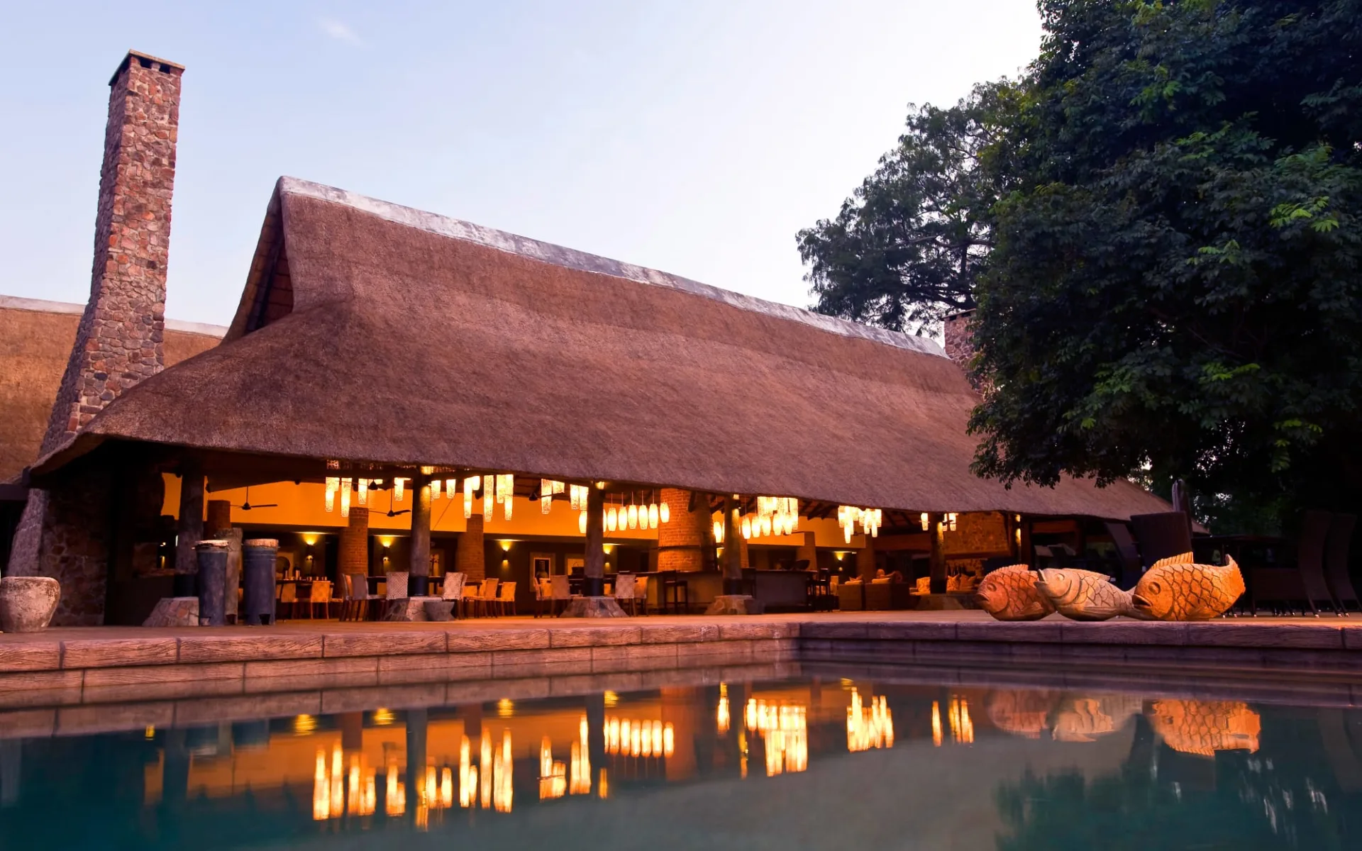 Mfuwe Lodge in South Luangwa: _oae9955