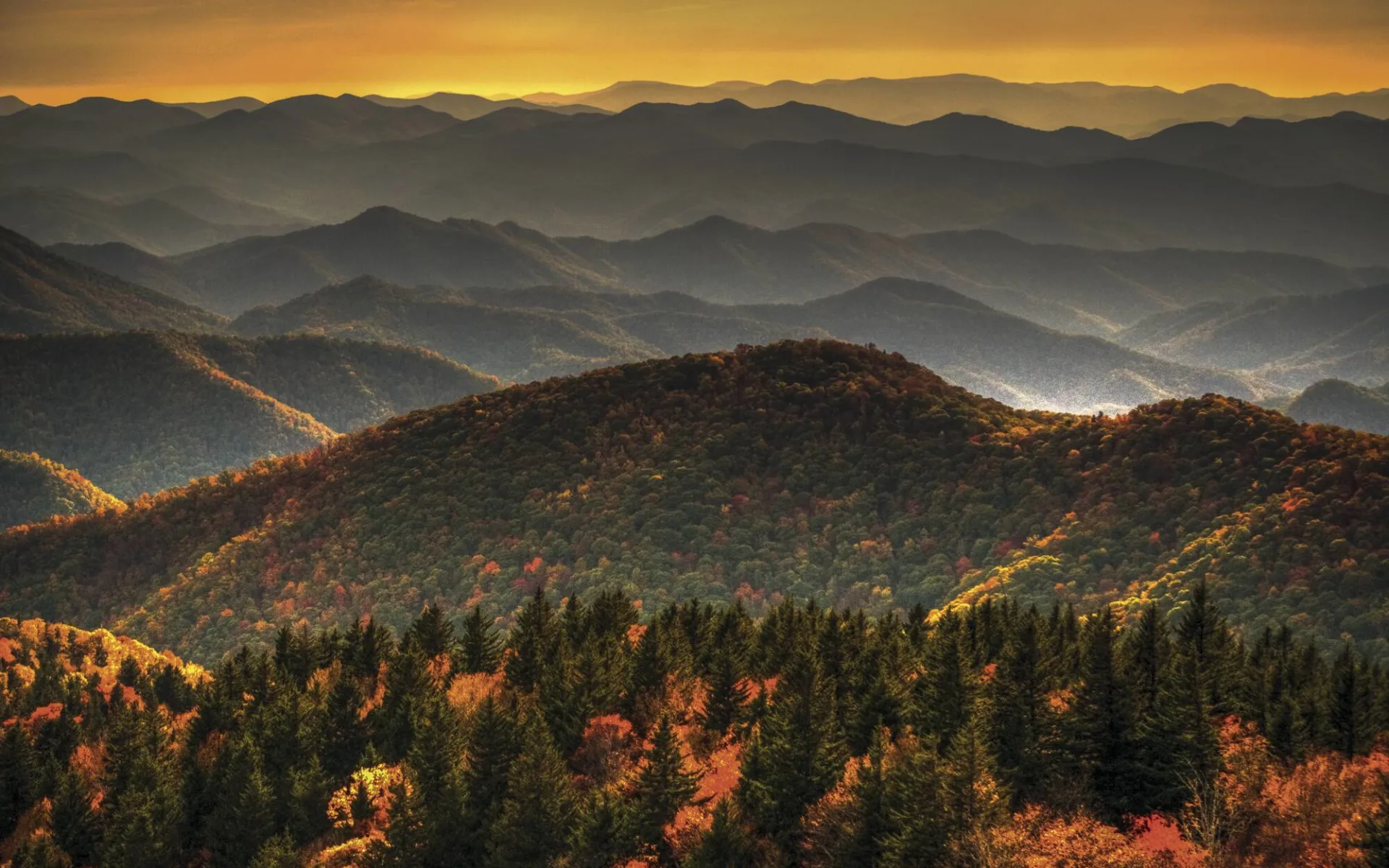 Höhepunkte entlang der Ostküste ab New York - Manhattan: 2015_007_1_Great Smoky Mountain Nationalpark