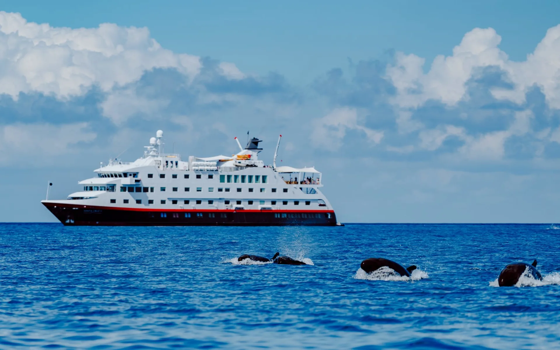 Expedition zum Galapagos Archipel ab Quito: 20230329-RABIDA-0049-ANDRESMESIASPH-ANDRES-MESIAS-22666400-Photo_Andres_Mesias