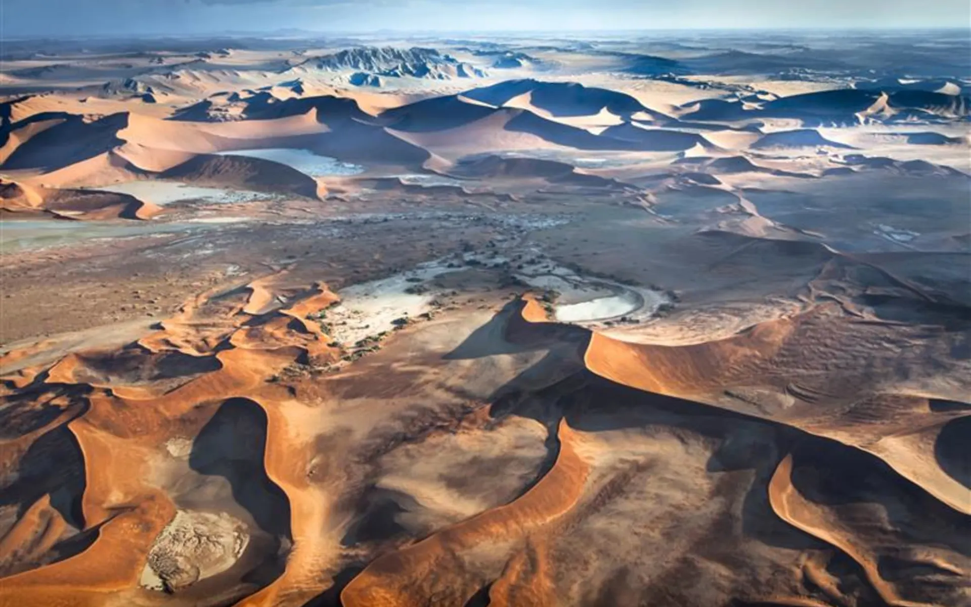 Namibia Lesereise Schweizer Familie - Weite Wüsten, Wilde Tiere ab Windhoek Stadt: 7f1577a6-ddab-4838-9b0e-4c14e9a7f8a4