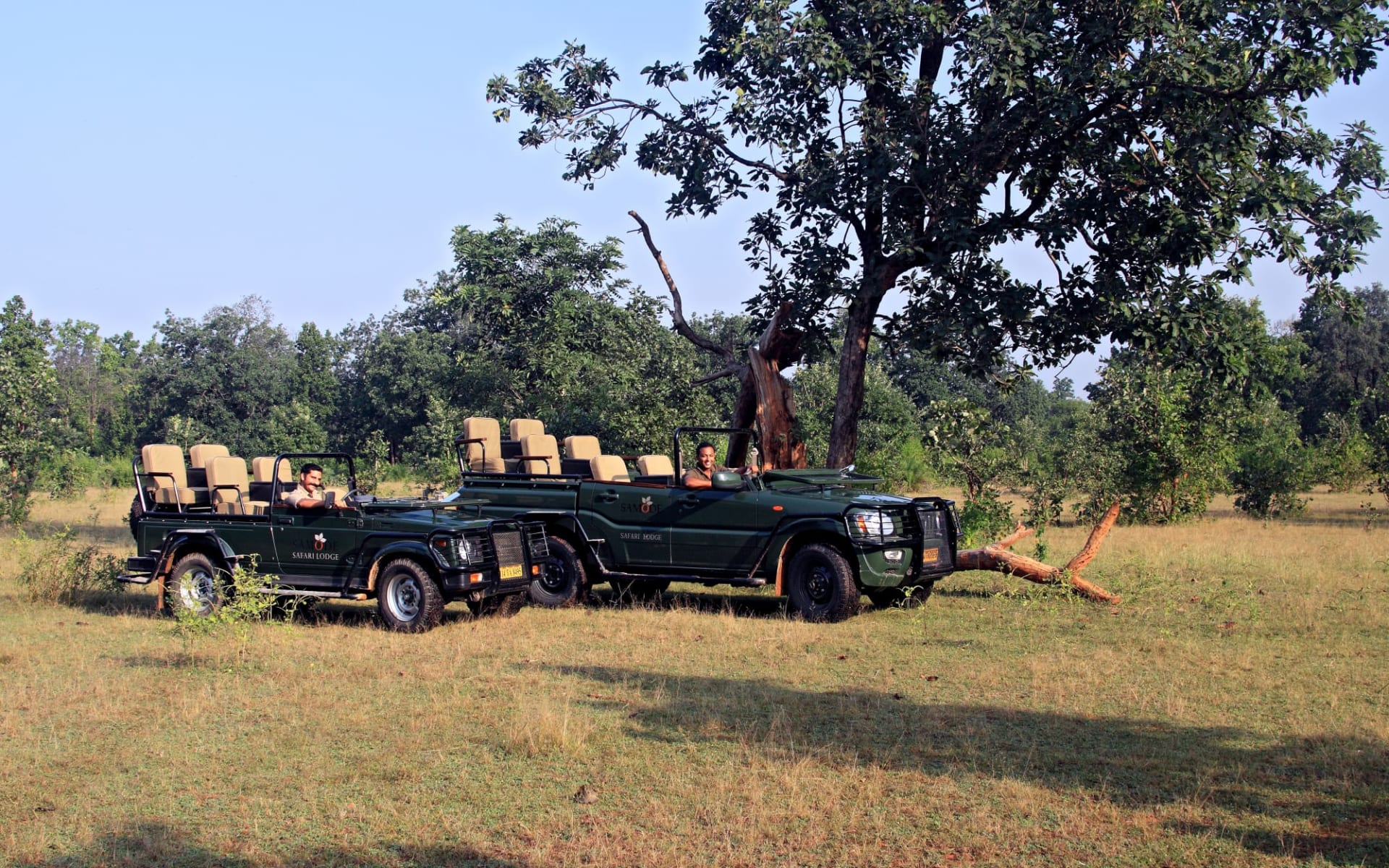 Samode Safari Lodge in Bandhavgarh: 