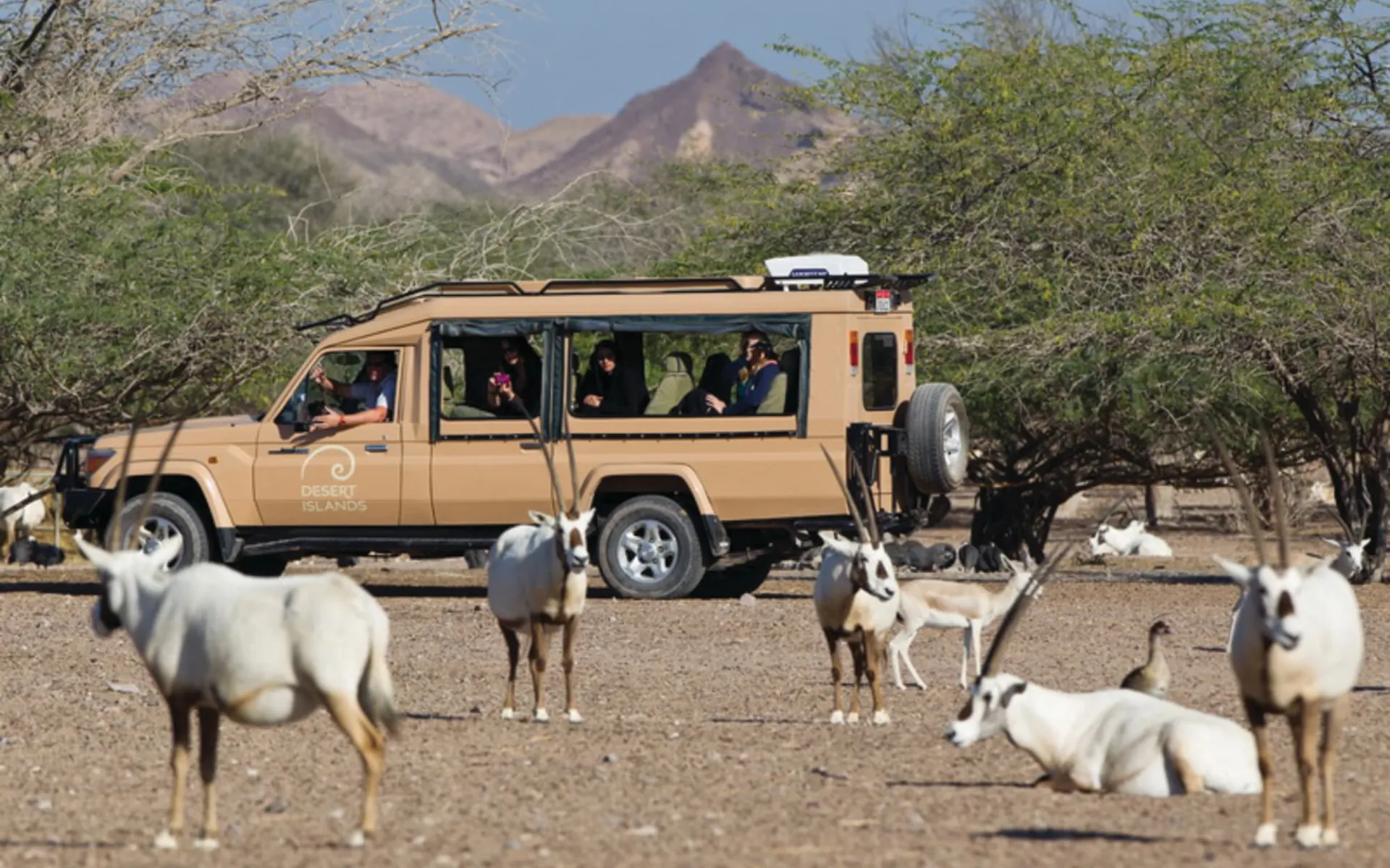 Anantara Desert Islands Resort & SPA in Sir Bani Yas:  