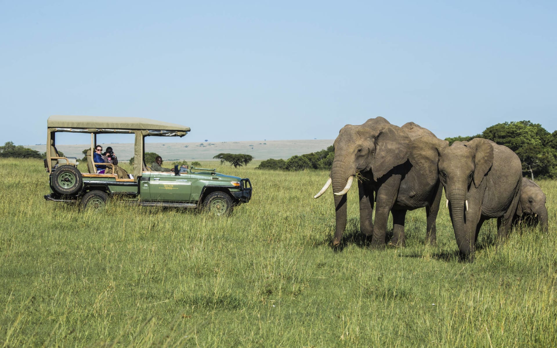 Kenya in Style ab Nairobi: activities: 