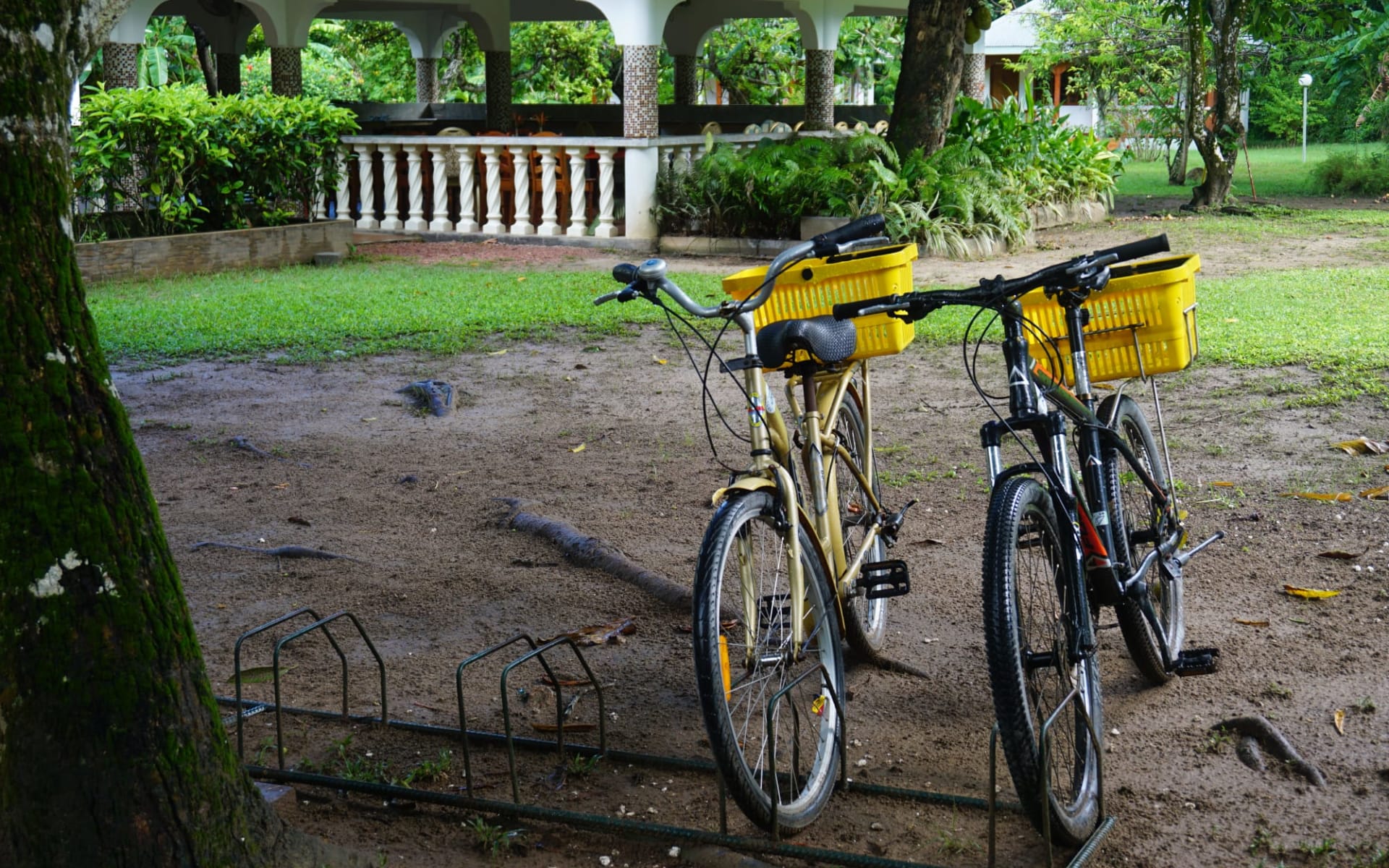 Chalet Bamboo Vert in La Digue: activities: 