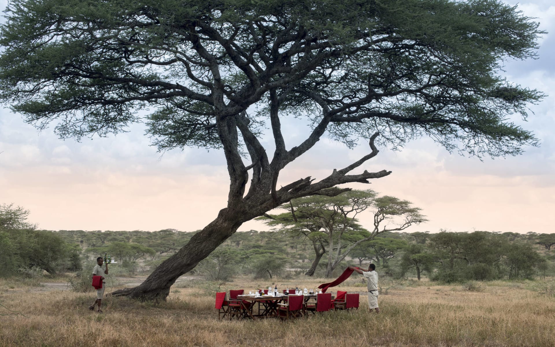 &Beyond Serengeti Under Canvas:  Bush-dinner_2