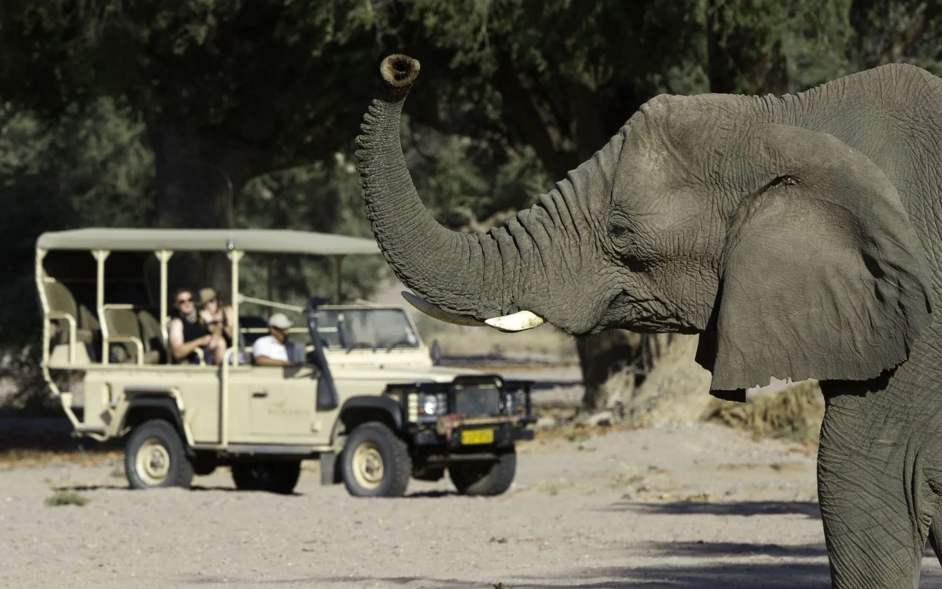 Damaraland Camp:  Damaraland Camp