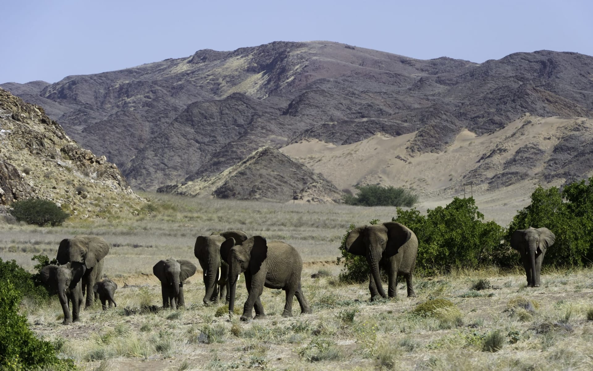 Doro Nawas in Damaraland: DoroNawas