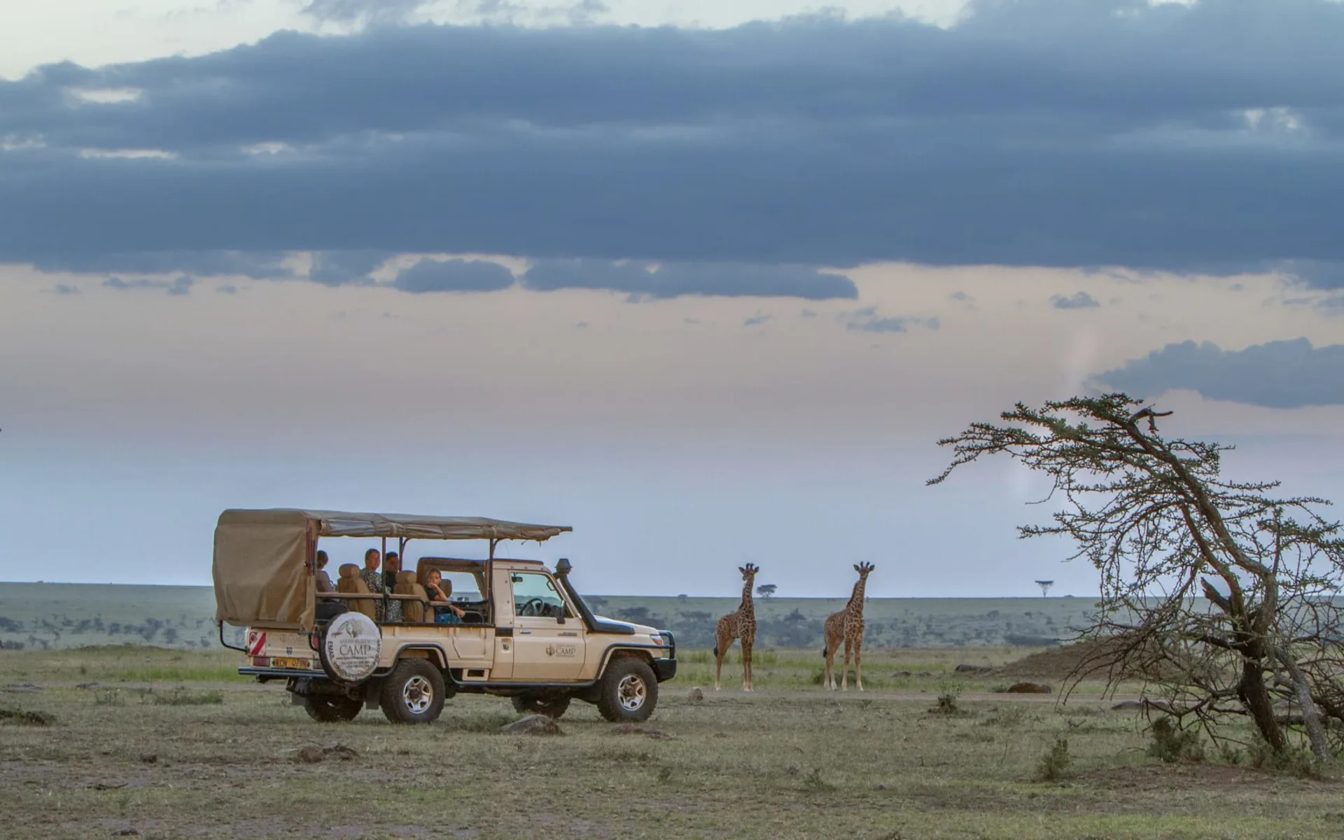 Karen Blixen Camp in Masai Mara:  Game drive-5