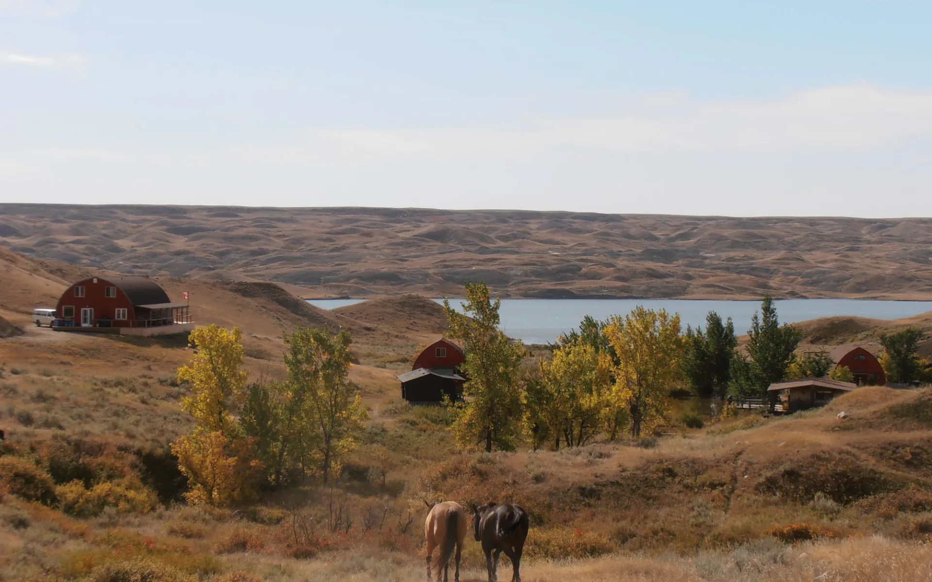 La Reata Ranch in Kyle: _La Reata Ranch - Natur