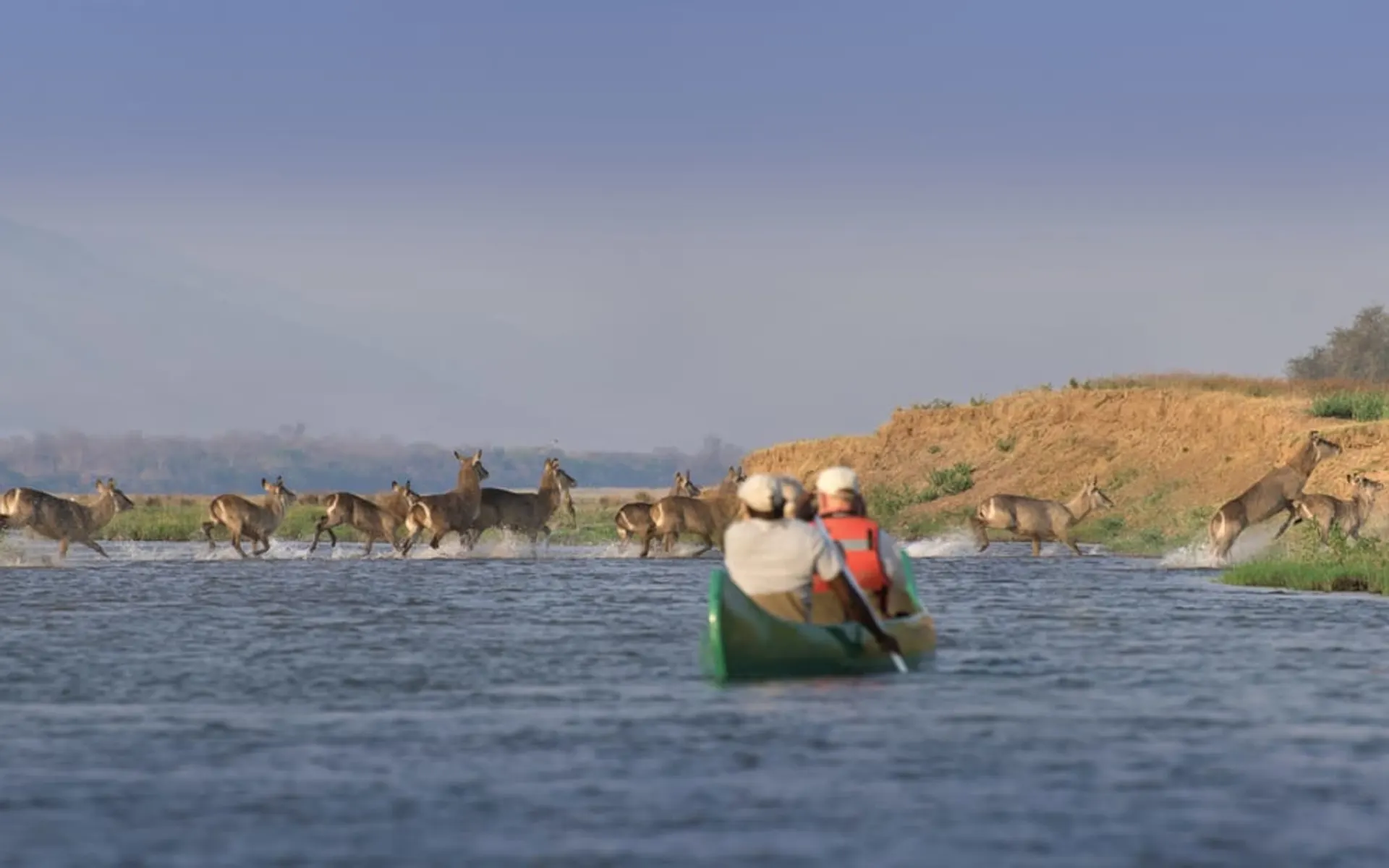 Zambezi Expeditions in Mana Pools Nationalpark:  Zambezi Expeditions - wb_panorama3_2