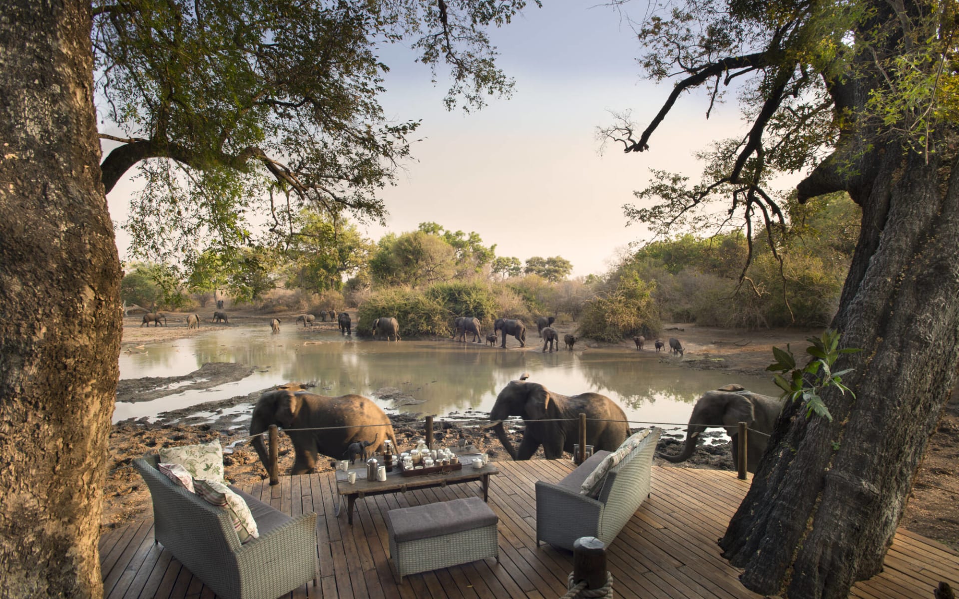 Kanga Camp in Mana Pools Nationalpark: African Bush Camps Kanga Camp 23