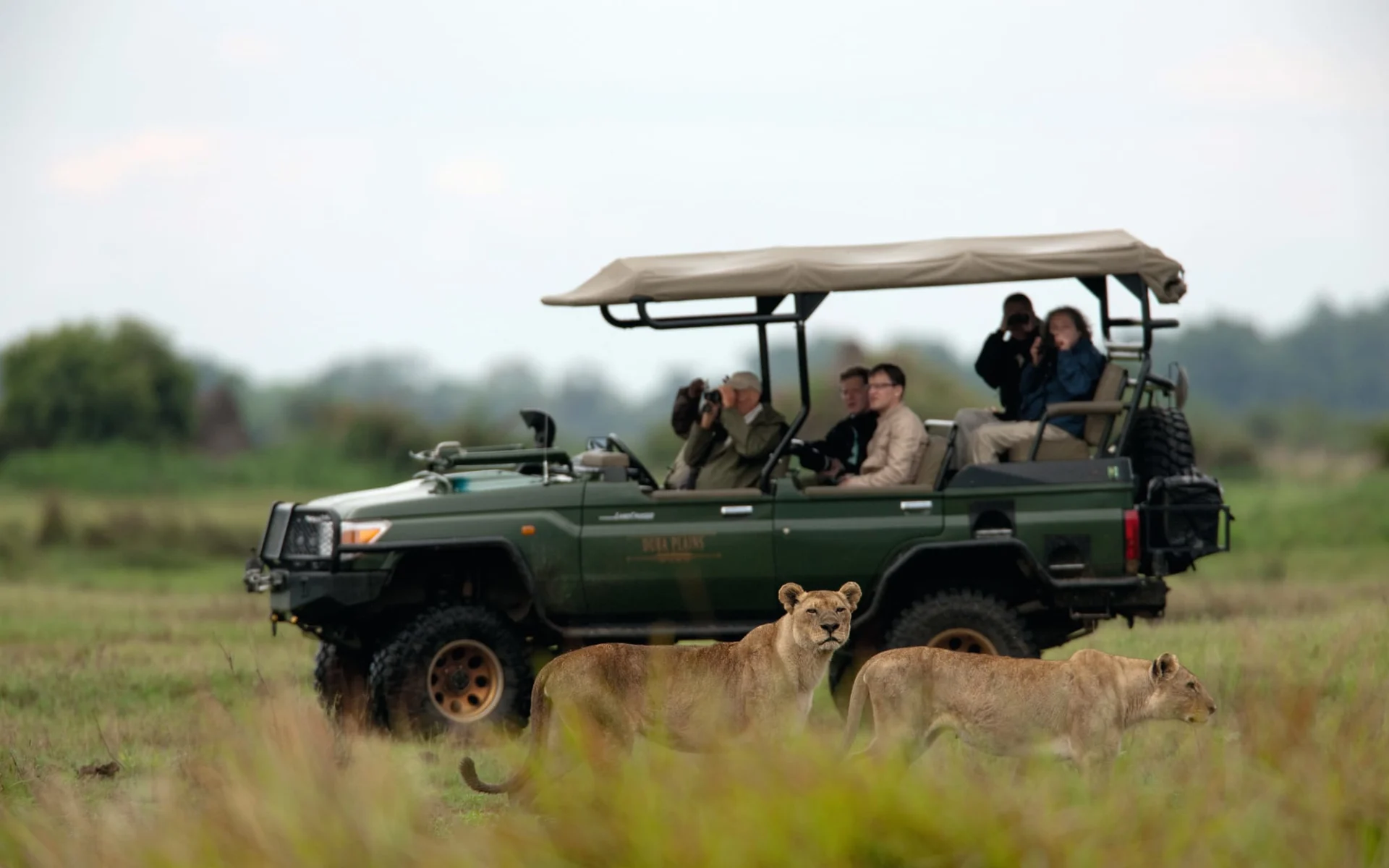 Duba Explorers Camp in Okavango Delta: aktiv Duba Expeditions Camp safari