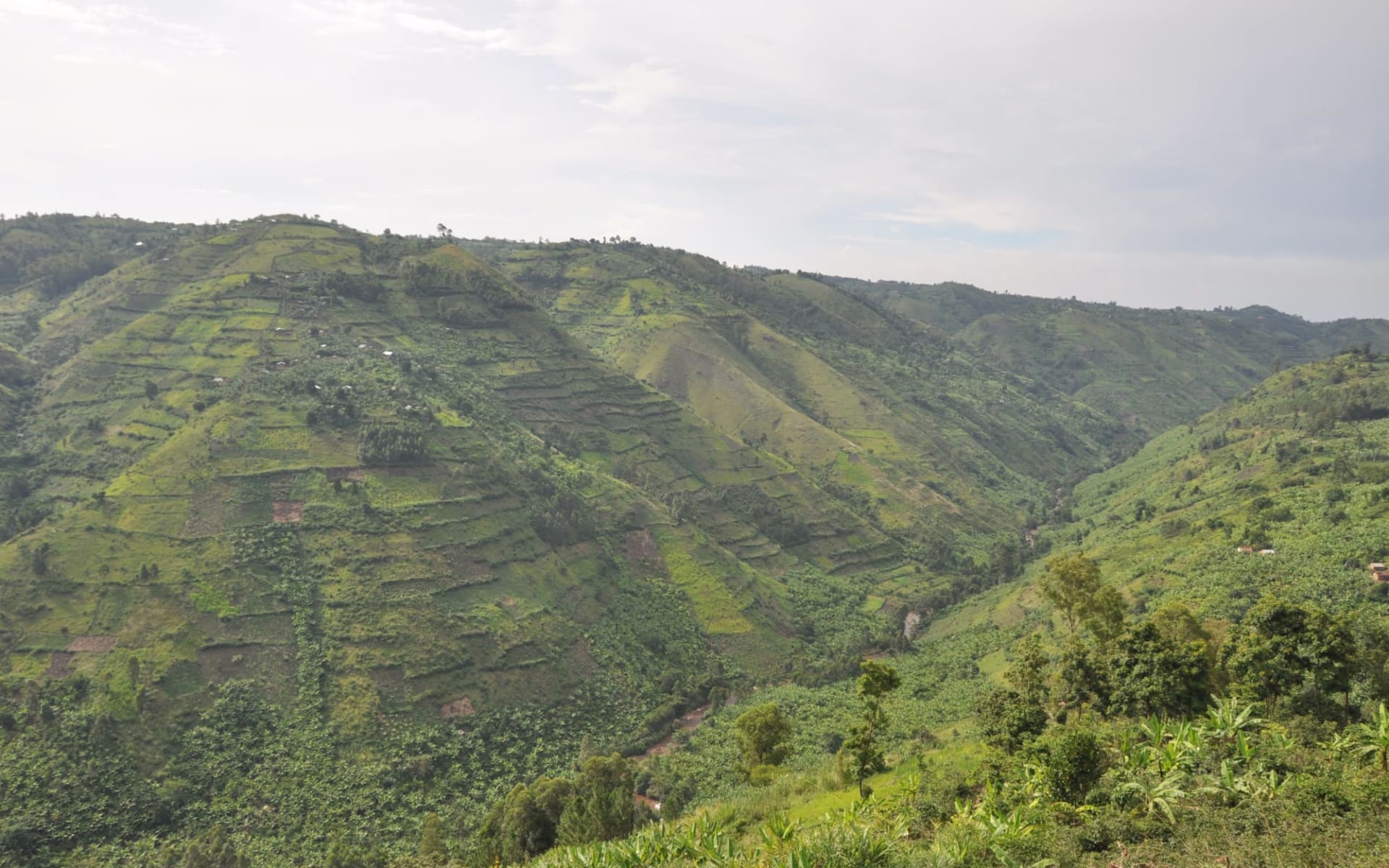 Uganda by bike ab Entebbe: Amazing landscape in Uganda