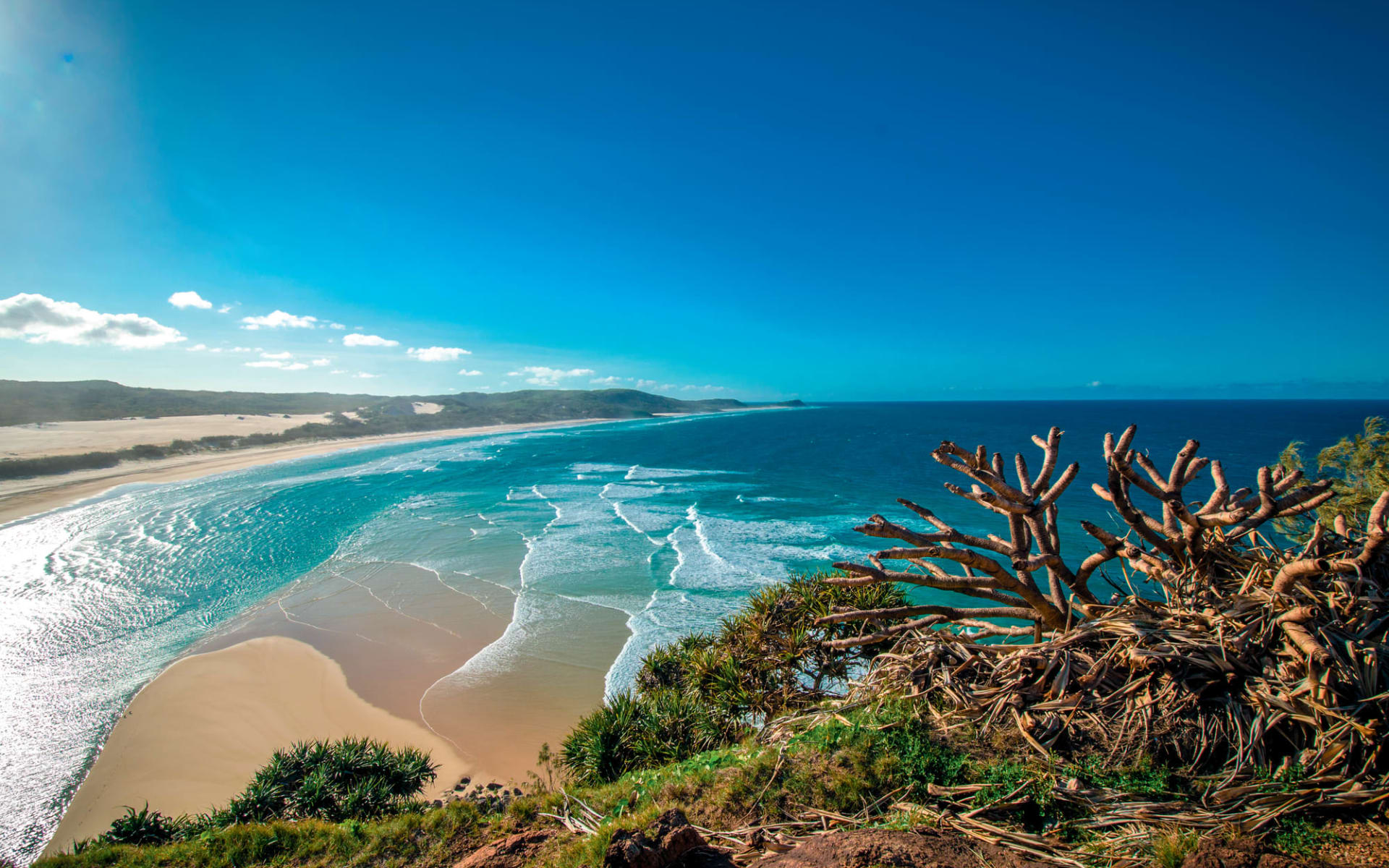 Fraser Island zu Fuss ab Hervey Bay: Fraser Island