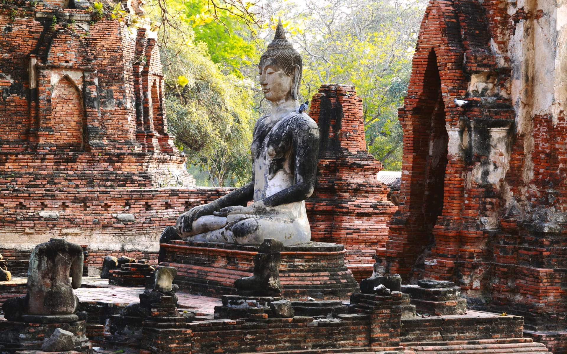 Königliches Siam ab Bangkok: Ayutthaya buddha statue at Mahathat temple