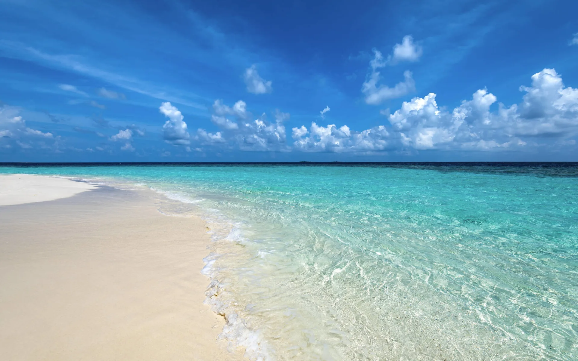 Sandies Bathala Maldives in Ari-Atoll: beach: 