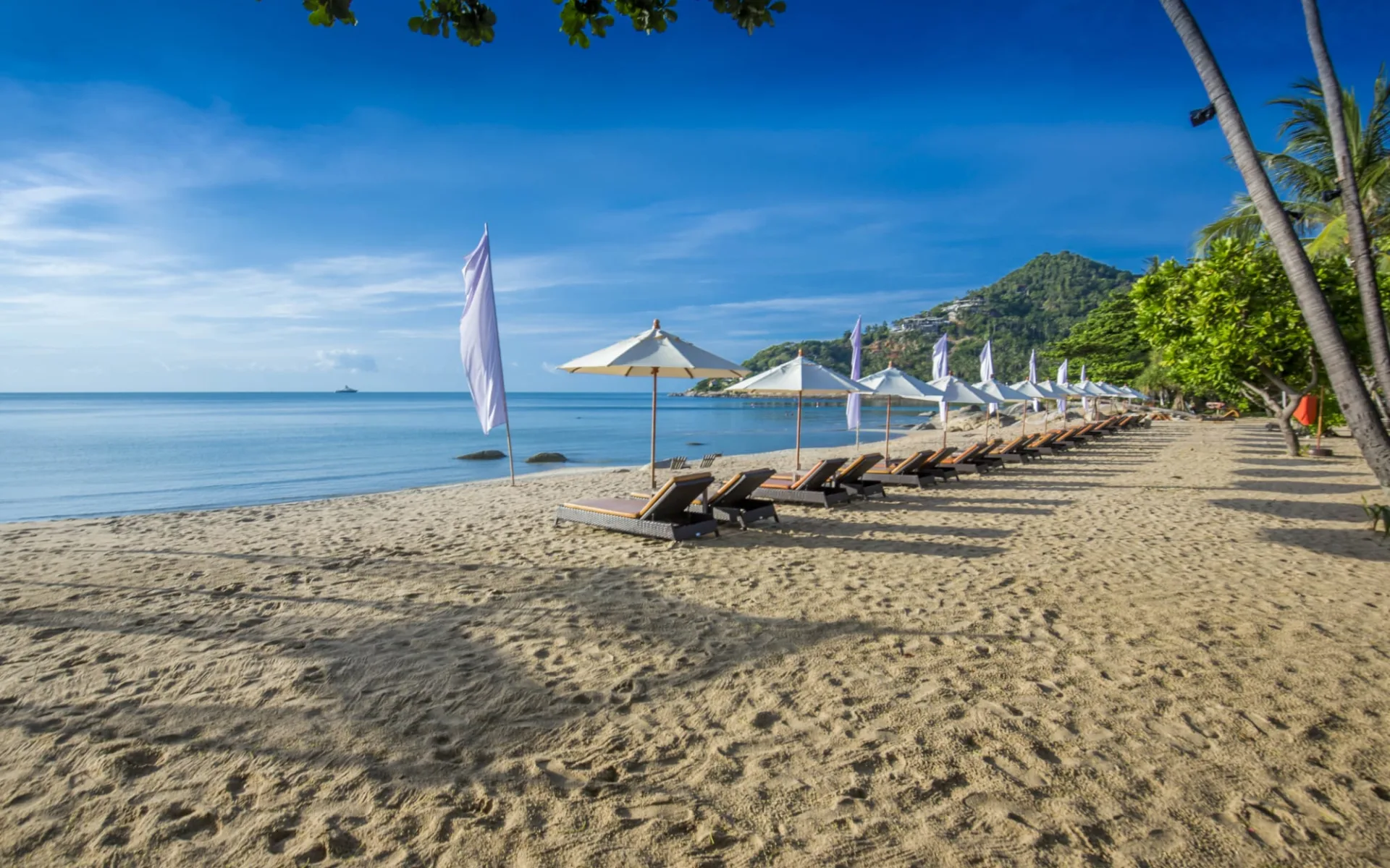 New Star Beach Resort in Ko Samui: Beach Area