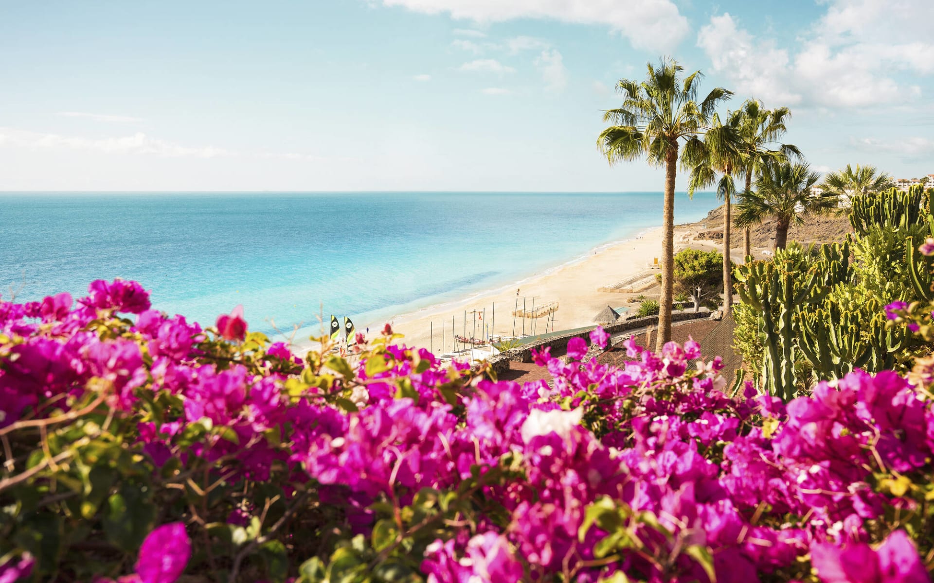 Badeferien im ROBINSON ESQUINZO PLAYA ab Fuerteventura: Beach_Flowers