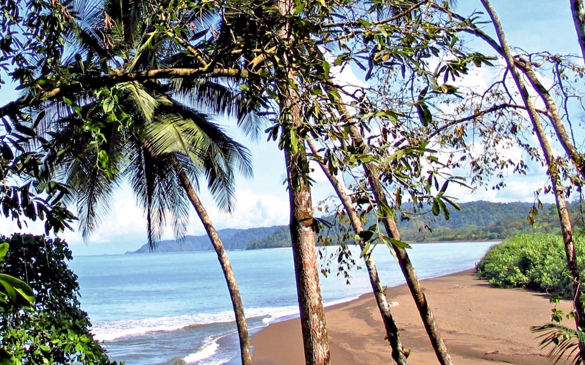 Pirate Cove in Osa Peninsula:  Pirate Cove - Privatstrand