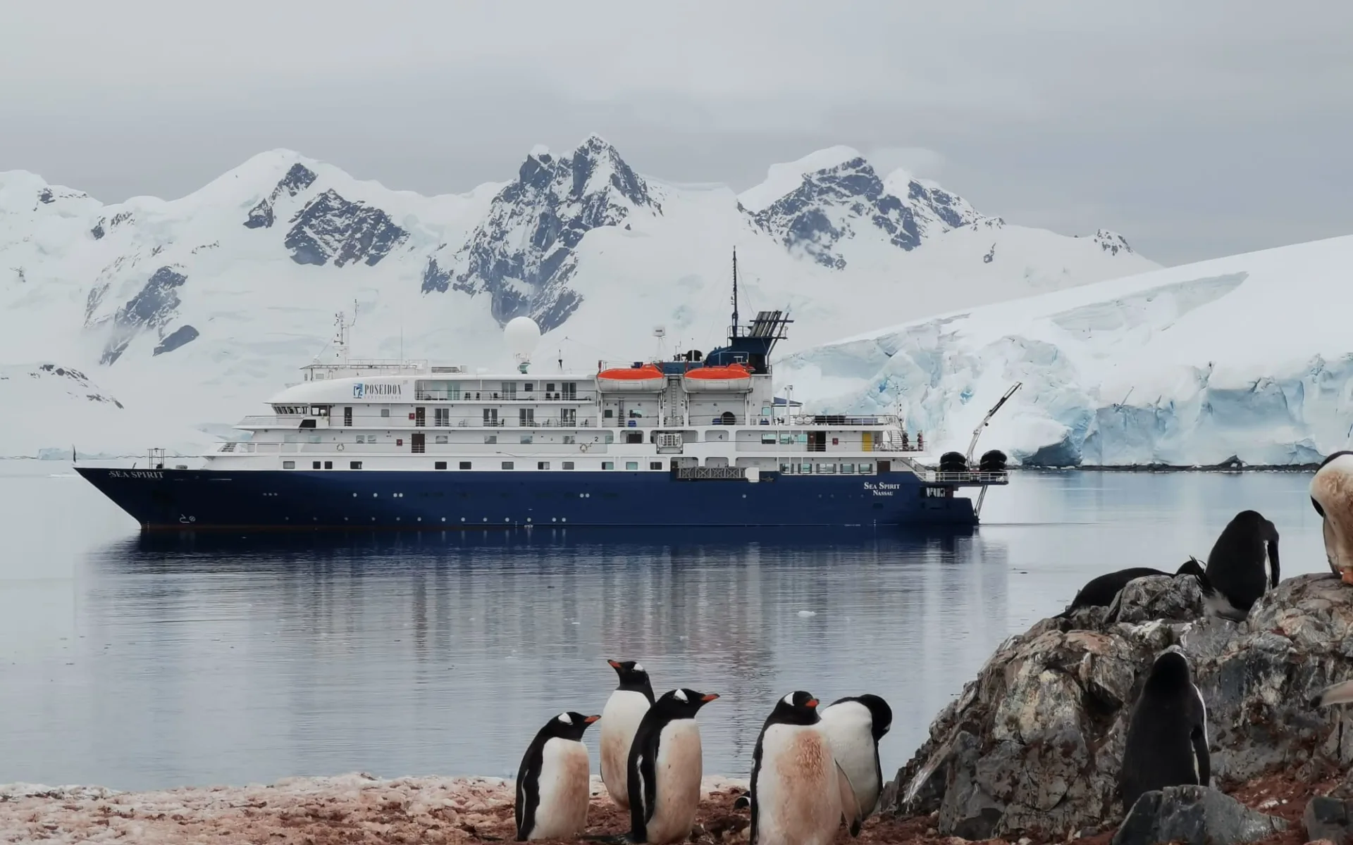 Die ultimative Naturexpedition ab Buenos Aires: Bild Seite 74 unten SeaSpirit_Antarctica_JohnBozinov_PoseidonExpeditions (3)