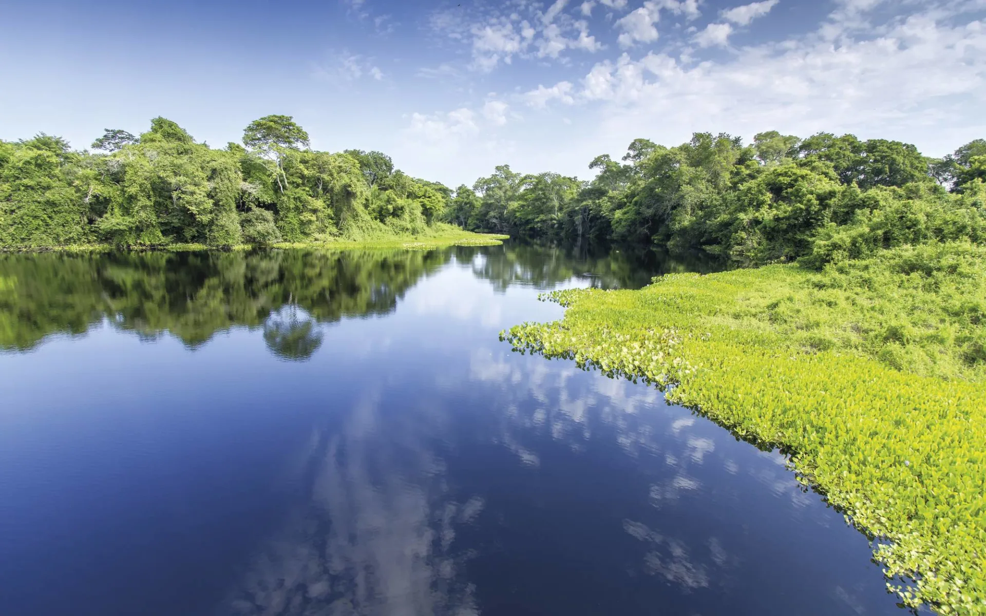 Pousada UeSo Pantanal 5 Tage ab Cuiabá: Brasilien - Amazonas - Pantanal