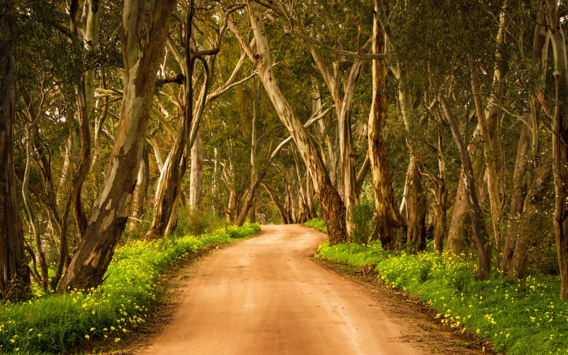 Best of the Flinders Ranges ab Adelaide: Clare Valley