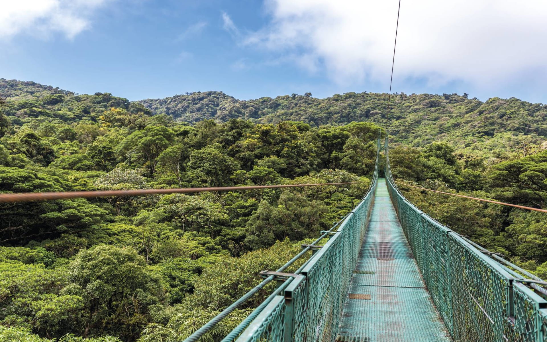 Mietwagenreise Costa Rica Classic ab San José City: Costa Rica - Monteverde - Hängebrücke