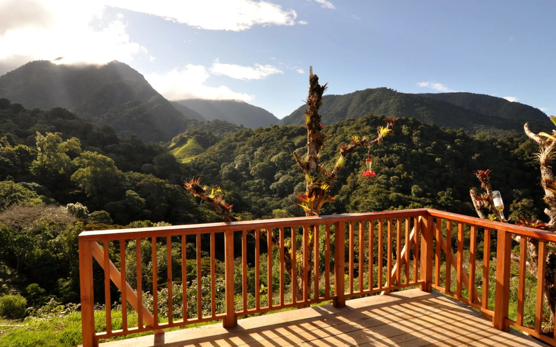 Mount Totumas Cloud Forest Lodge in Volcán: deck 2 bb lodge