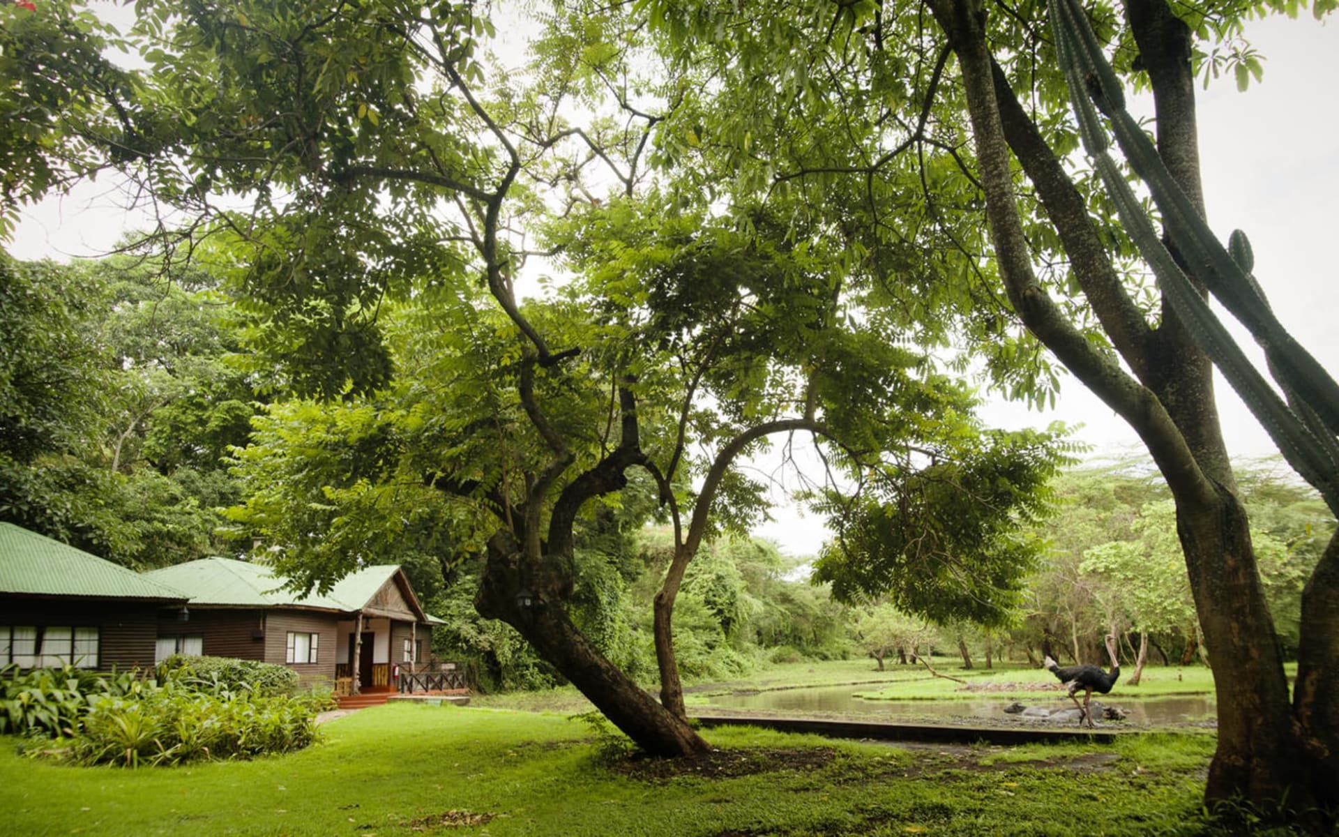 Mount Meru Game Lodge in Arusha:  