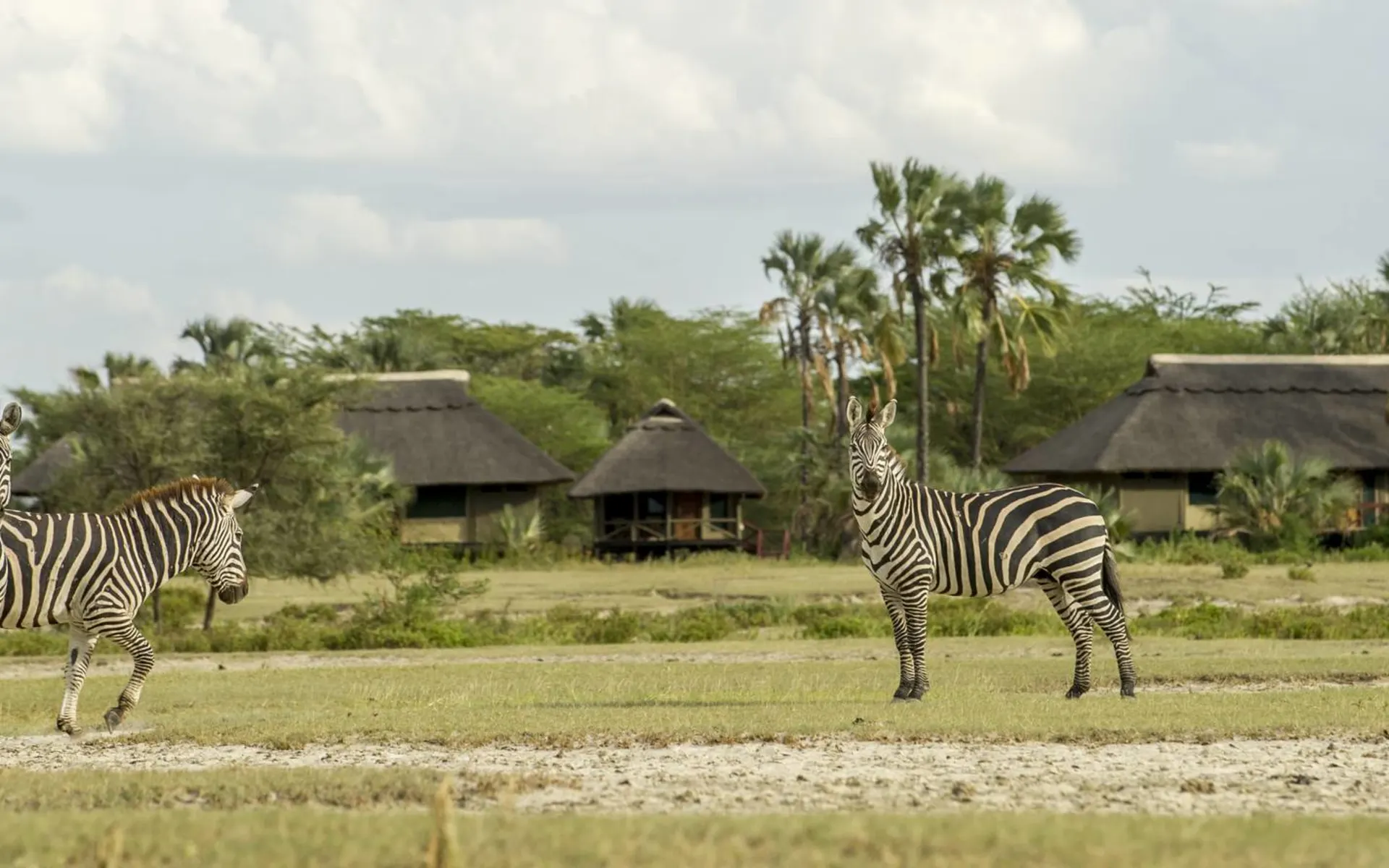 Ngorongoro - Tarangire Safari ab Arusha: exterior: 