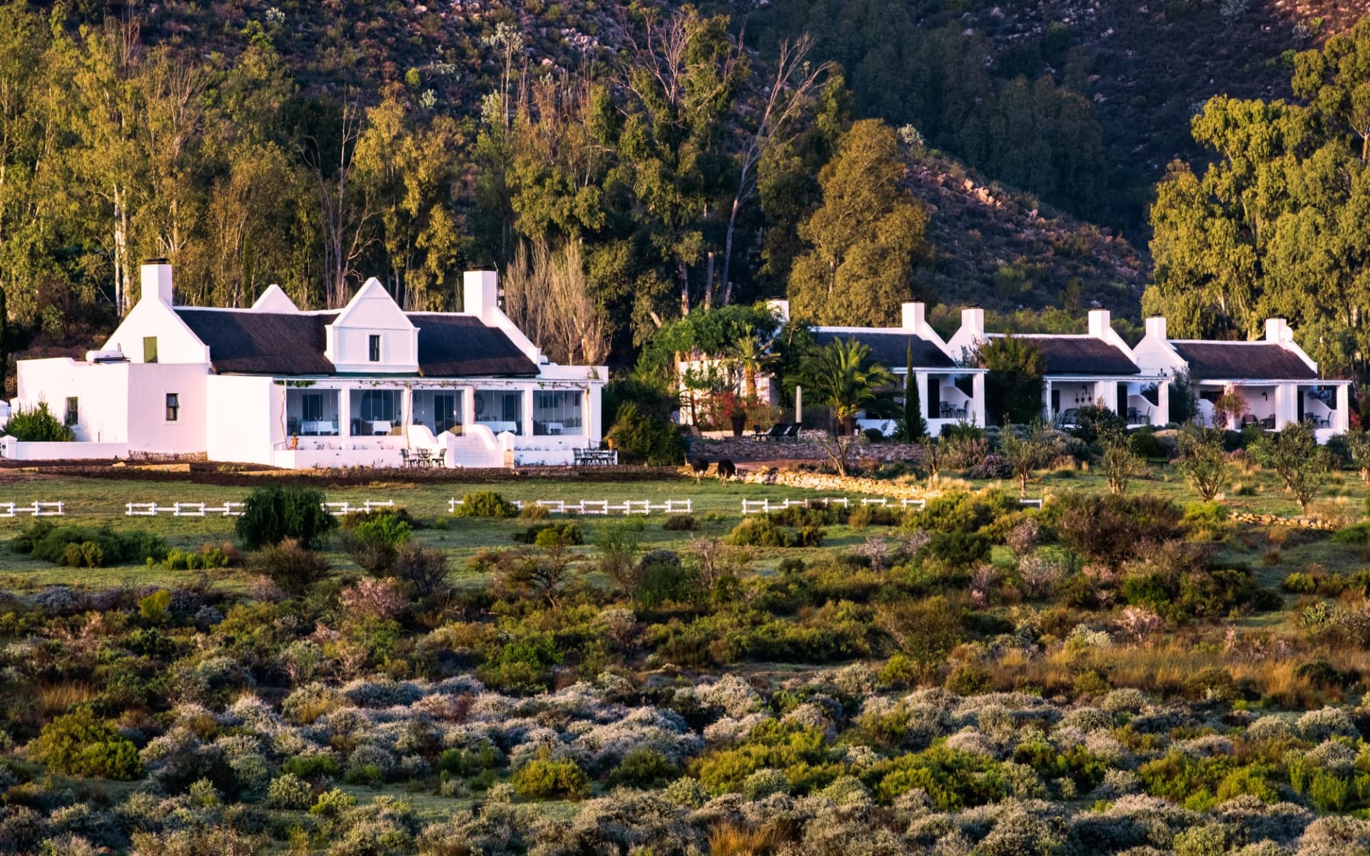 Galenia Estate in Montagu:  _DSC0747z